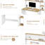 Raelee Desk-1060842737