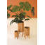  Ensemble de trois jardinières rondes en bois recyclé