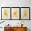 Dappled Oranges I - reproduction sur mesure encadrée de qualité supérieure - 3 pièces-724783940-724783946