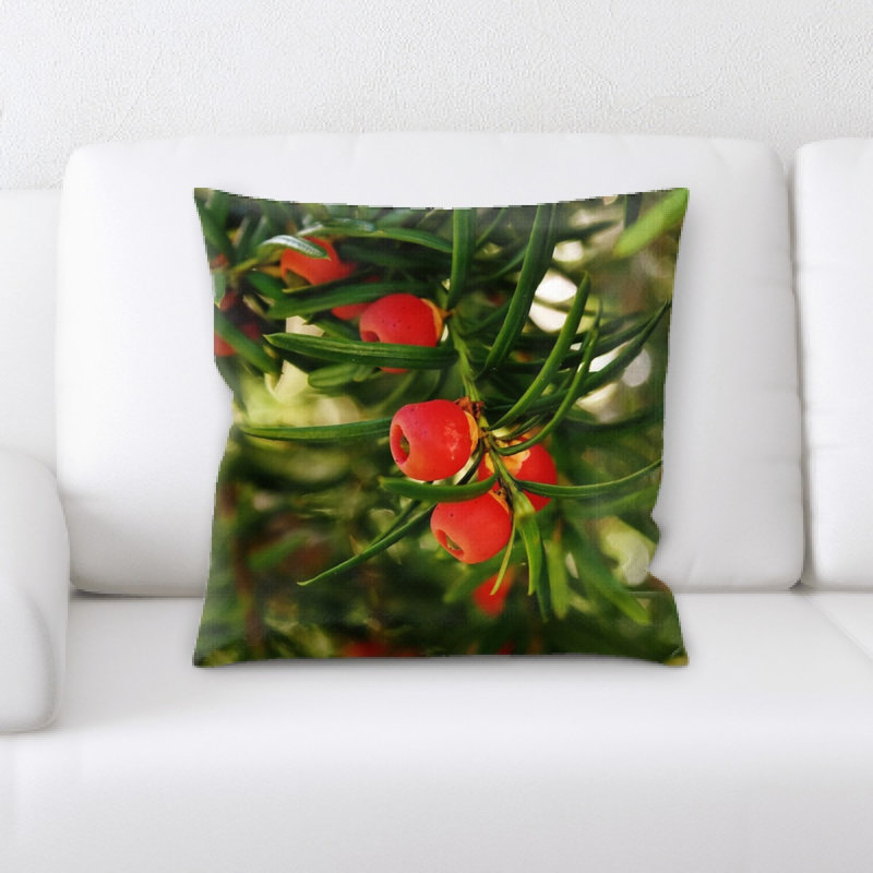 Coussin yew européen