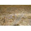 Oriental Area Rug in Light Gray/Gold