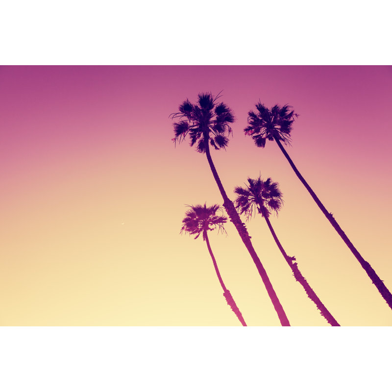 California Palms by Evgeniyaphotography - Wrapped Canvas Print, 61cm H x 91cm W