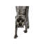 31" Standing Monkey Statue