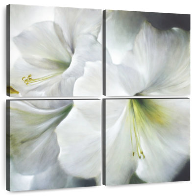 Harnek White Amaryllis II