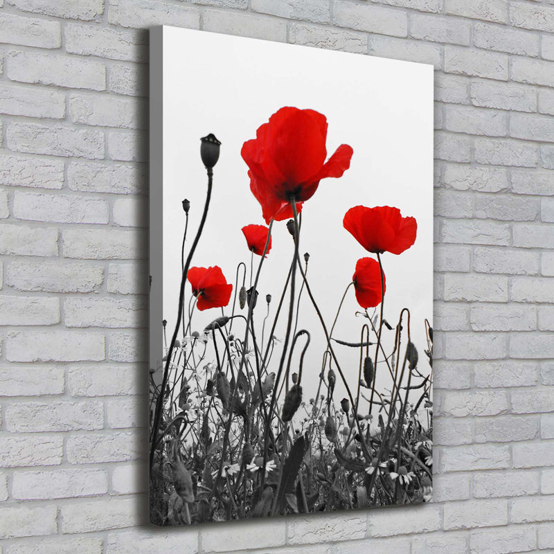 Field Poppies - Wrapped Canvas Print