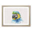 Blue and Yellow Macaw Parrot - Picture Frame Graphic Art Print-56870969-56870968
