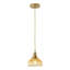1-Golden brown glass dimmable pendant light