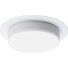 5" Incandescent Shower Recessed Trim