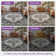Oriental Neutral Dark Gray Machine Washable Non-Slip Indoor Area Rug