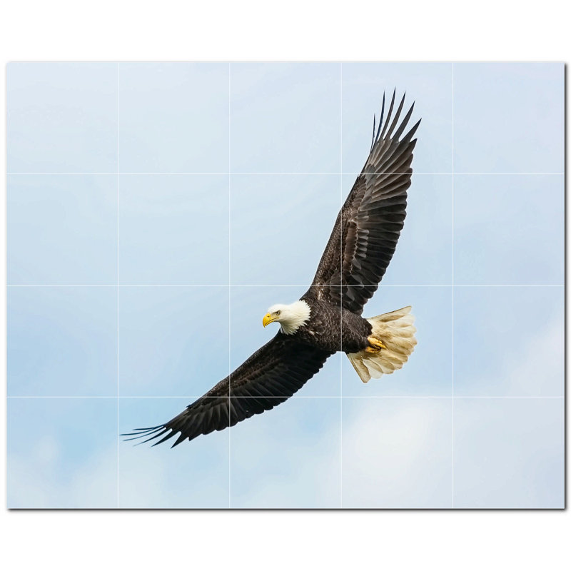 Bird Photo 6'' x 6''