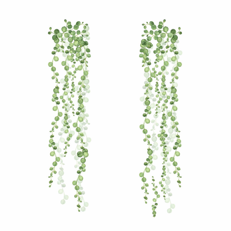 Plants & Flowers Non-Wall Damaging Wall Decal