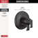 Tetra 17T Series Dual-Function Shower Trim Kit, Valve Trim Kit, Shower Trim