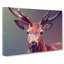 Geometric Stag Deer In Abstract - Wrapped Canvas-55312213
