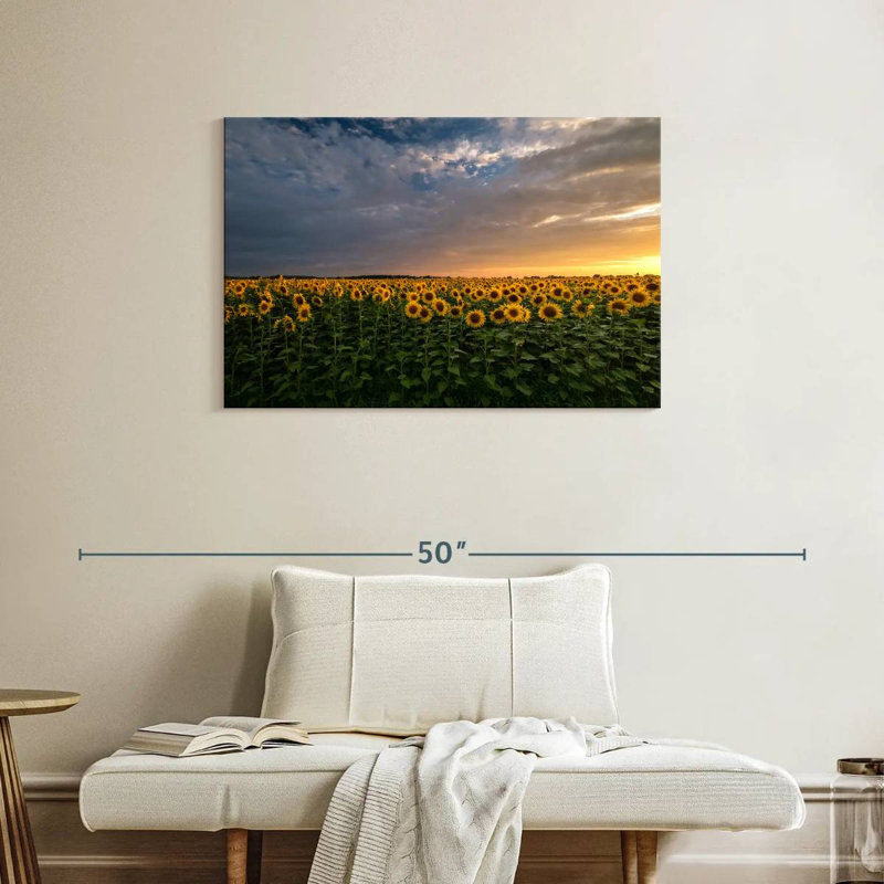 Champ de tournesols Alvord Mittenwalde, H 24 po x l 36 po