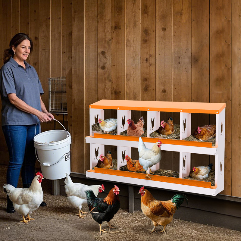 Boîte de nidification en métal pour poules pondeuses, H 26,57 po x l 42,52 po x P 16,93 po, Orange