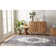 Modena Oriental Indoor Rug