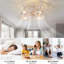 Lopezville 20.1'' Farmhouse Reversible Caged Ceiling Fan with Light Kit And Remote-1984242610