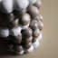Assiette brillante-109848219