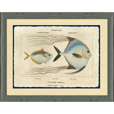 Turpins Blues III Print
