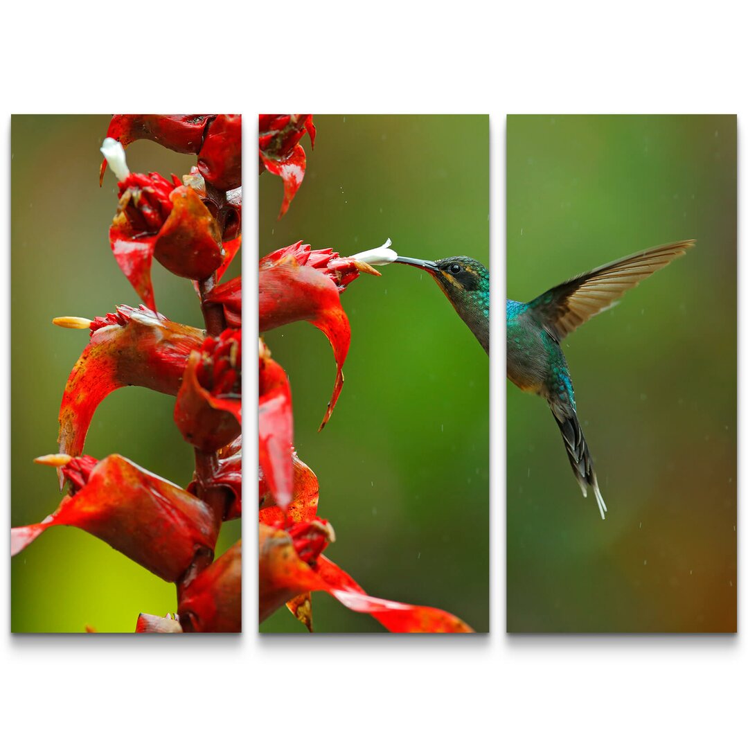 3-tlg. Leinwandbilder-Set Grüner Schattenkolibri mit roten Blumen