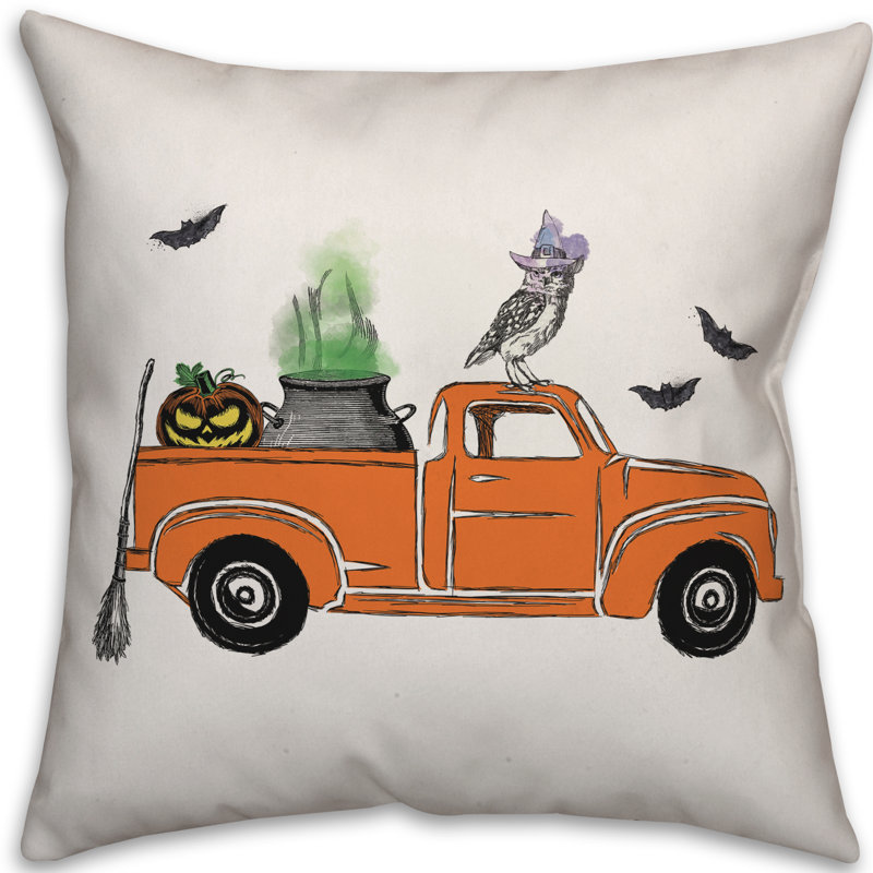 Throw Pillow