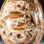 Petrified Wood Egg