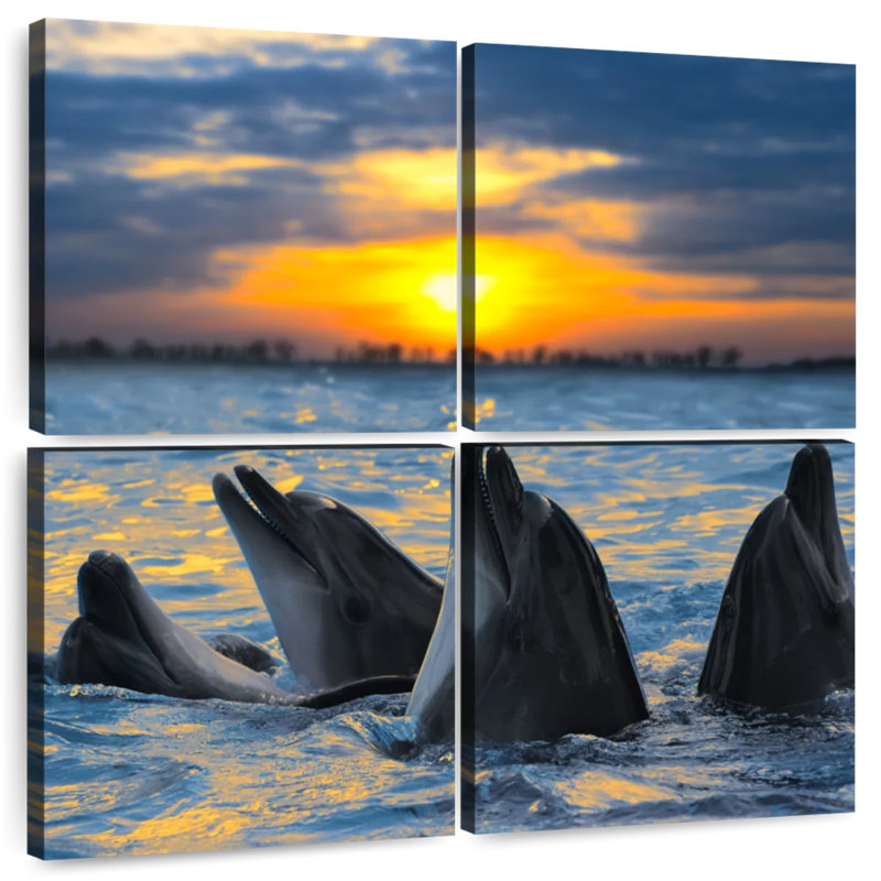 Dauphins Brampt Grand Cayman, H 32 po x l 32 po