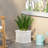 Roden Handmade Pot Planter-334474342-385826985