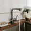 Lulani Nassau Pull Out Kitchen Faucet-86768821