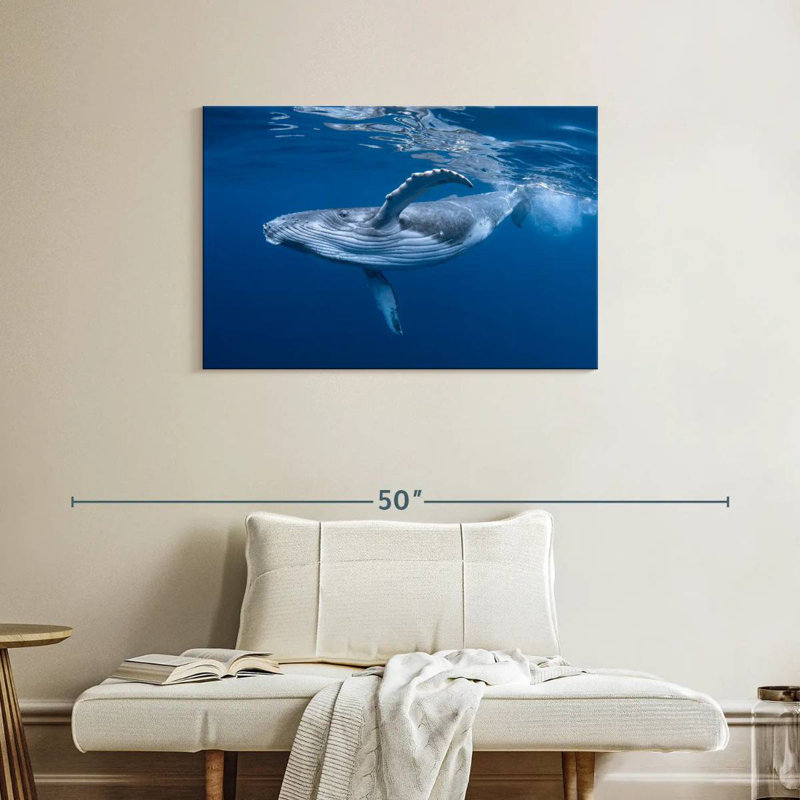 Brampt Baby Humpback Whale, 24" H x 36" W