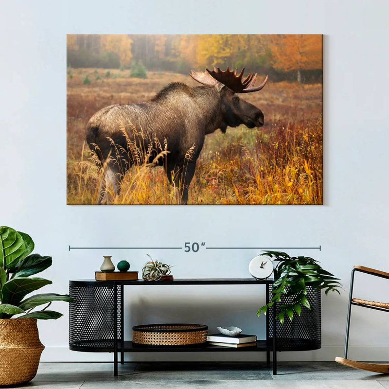 Crowle Mighty Alaskan Moose, H 34 po x l 51 po