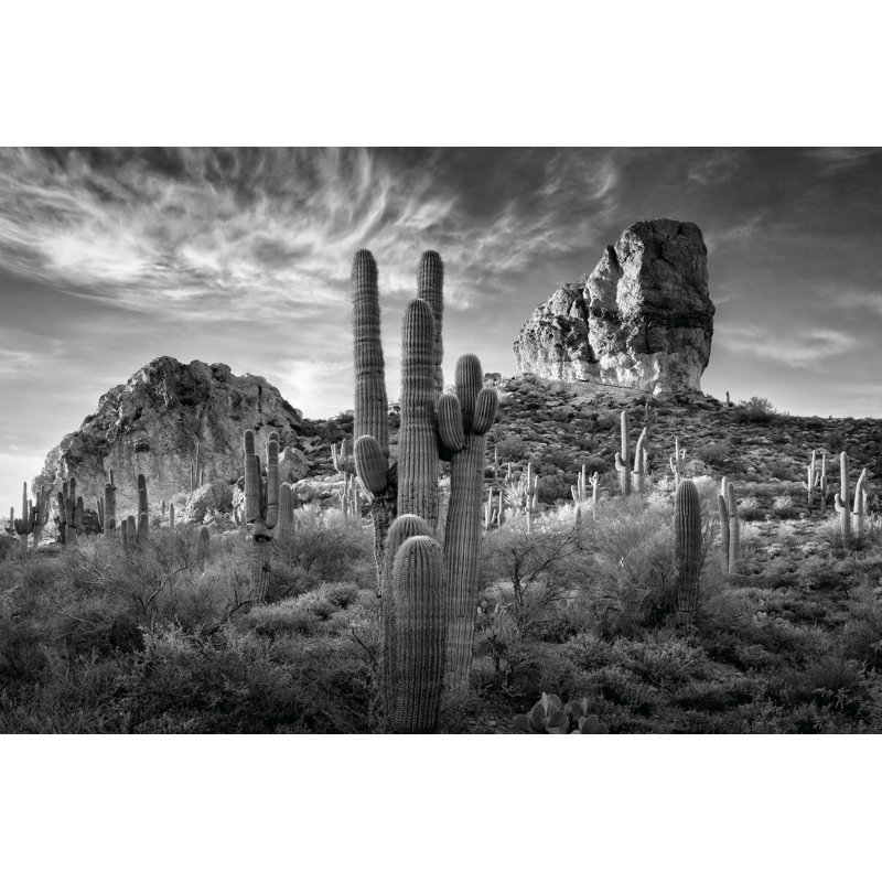 B&W Desert View I, H 8 po x l 12 po