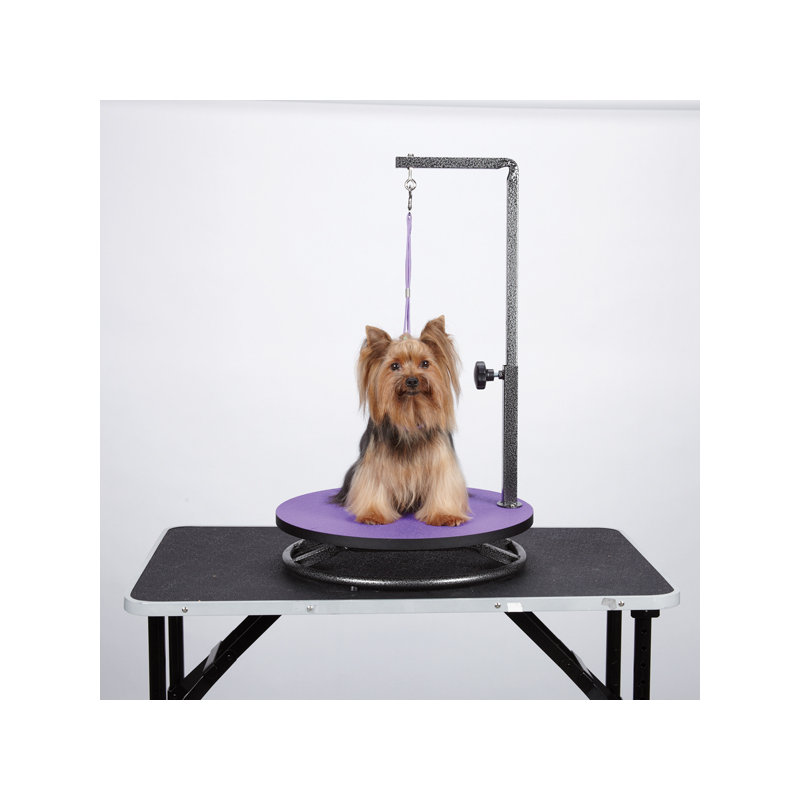 Table de nettoyage pour petit chien petedge, Mauve