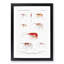Selection of Shrimp by Albert I - Picture Frame Painting Print-55618913-55618917