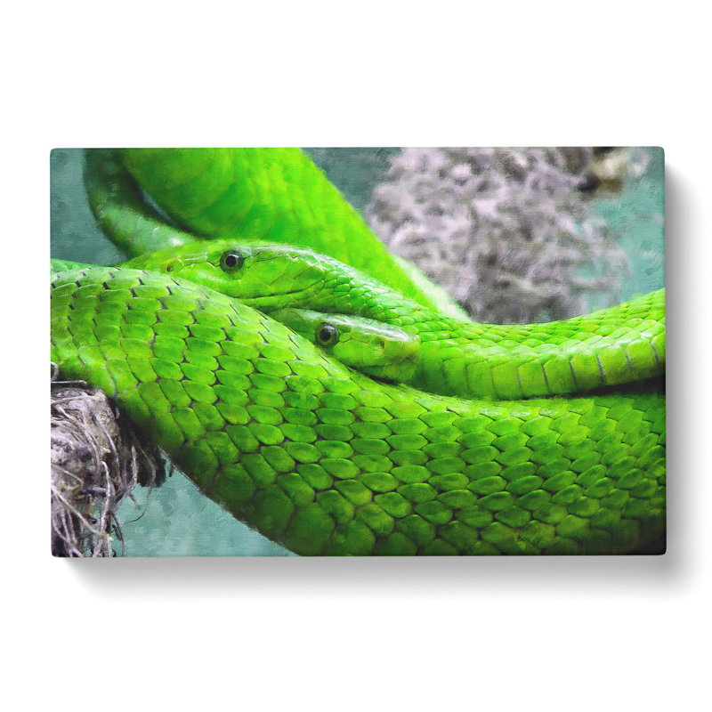 Green Mamba Snakes - Wrapped Canvas Print, 50cm H x 76cm W x 3cm D
