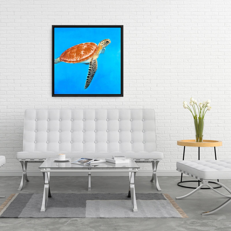 " Green Aquatic Turtle "