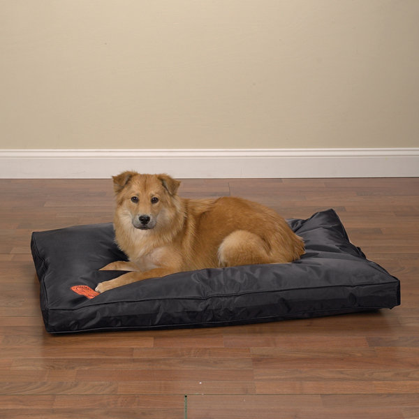 Rouleau Nylon Pet Bed, Medium (36" W x 23" D x 2.5" H), Black