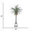 Dragon artificiel 78 po en pot