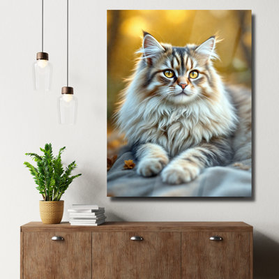 Art mural en verre trempé Maine Coon