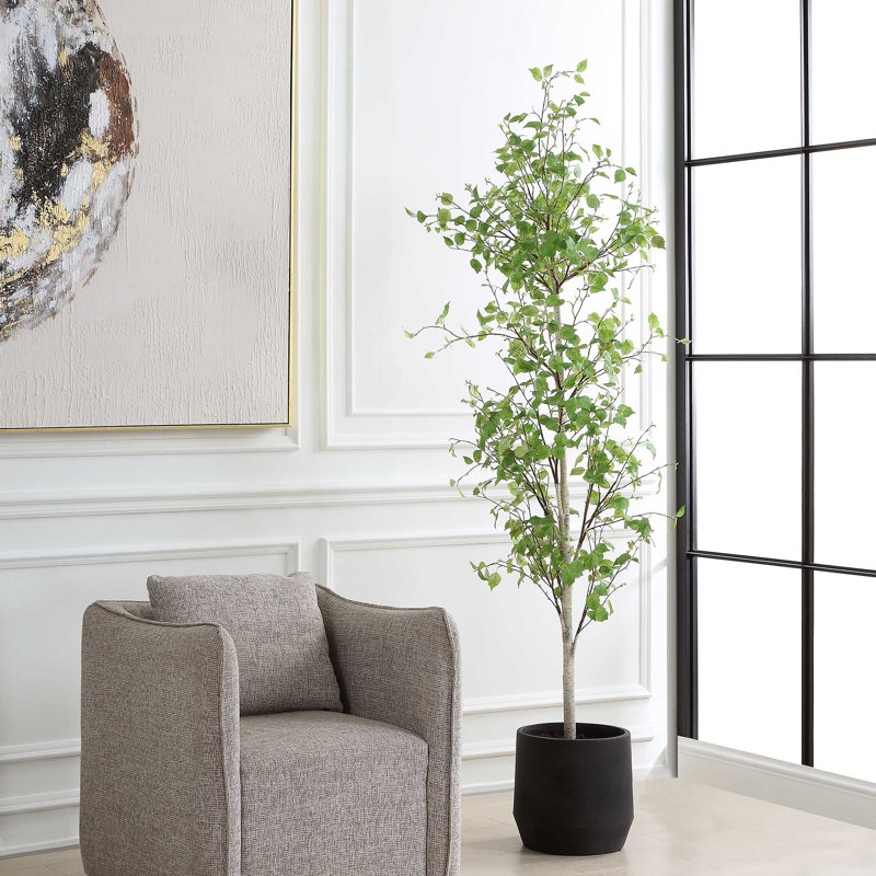 Bouleau Uttermost Boreal