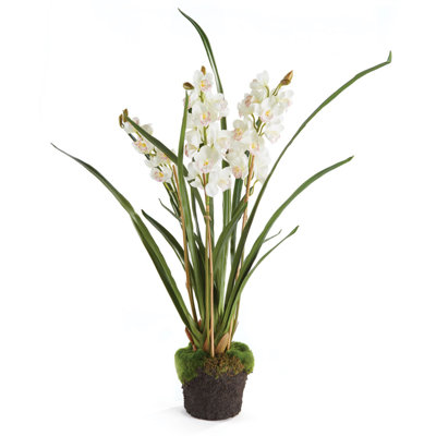 Fleur d'orchidées Alina