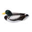 Sculpture Filicia mâle canard colvert