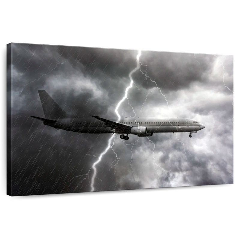 Tour en avion Mehar, H 20 po x l 30 po
