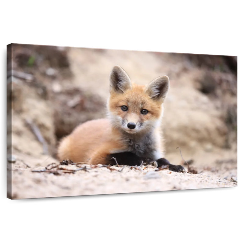 Little Brown Fox, 8" H x 12" W
