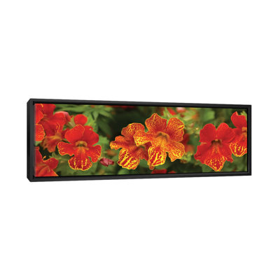 " Close-Up Of Flowers Blooming On Plant I " by Panoramic Images
