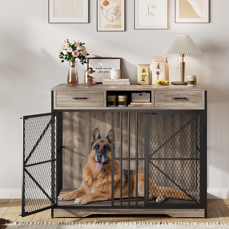 Dog House