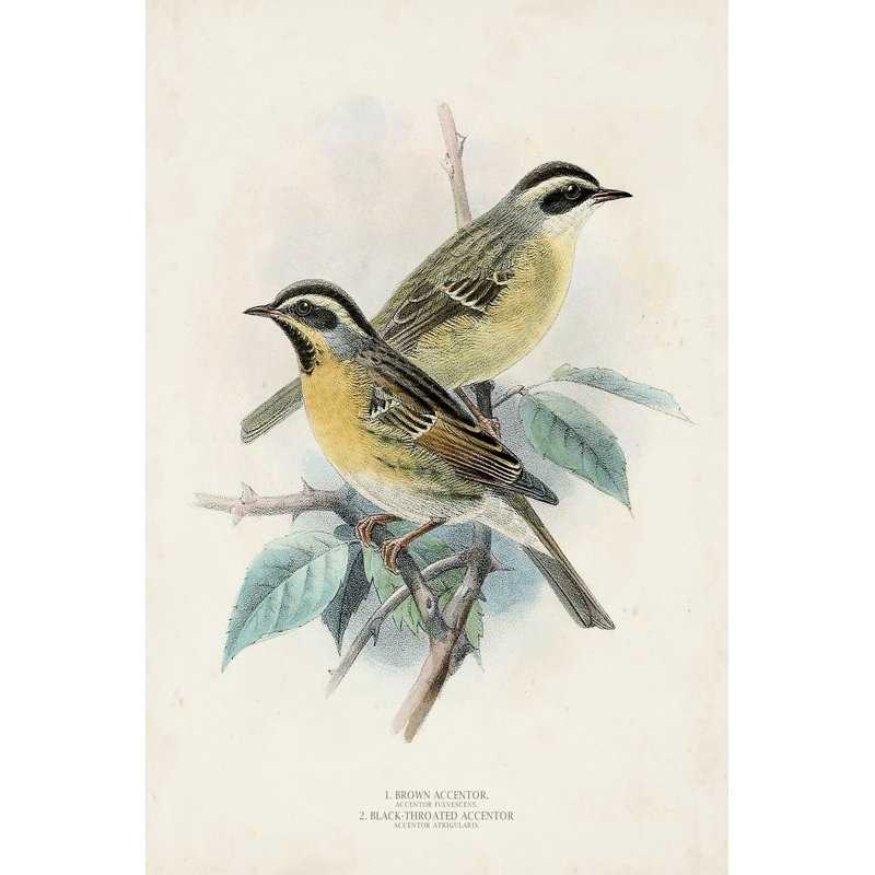 " Antique Birds I ", 12" H x 8" W x 1.25" D