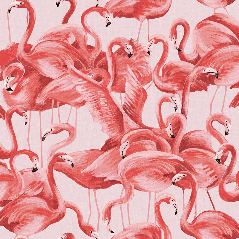 Papier peint adhésif Flamingo, Rose