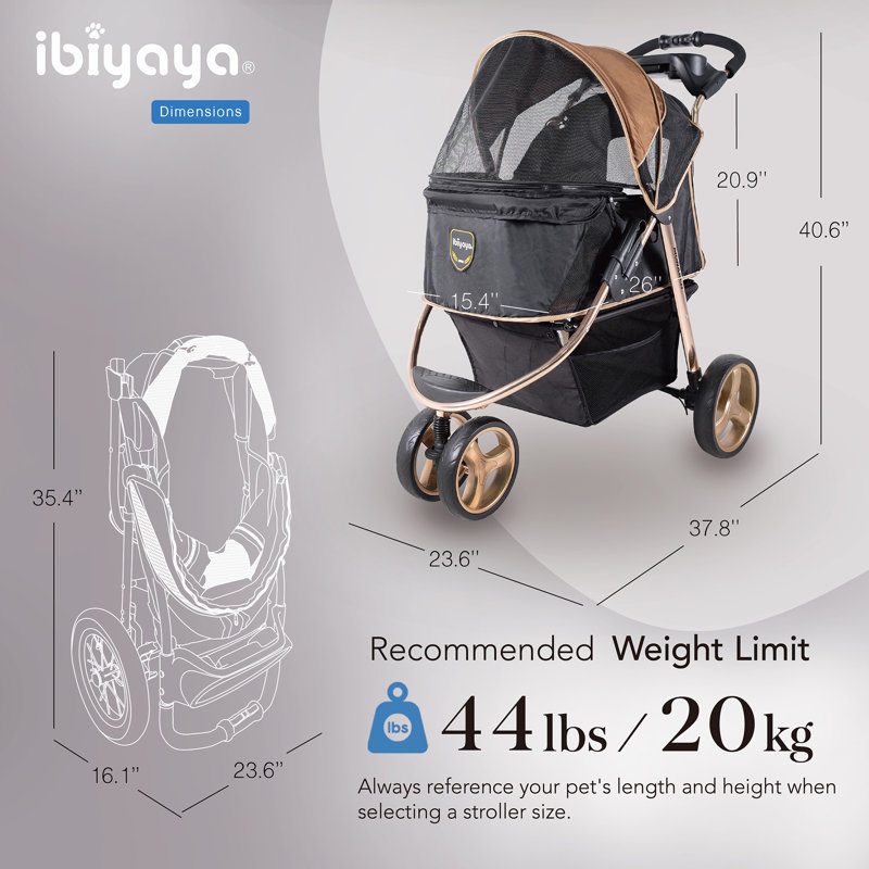 Jogger Monarch Premium - or luxueux