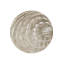 Chihuly River Shell Round Area Rug-29182976